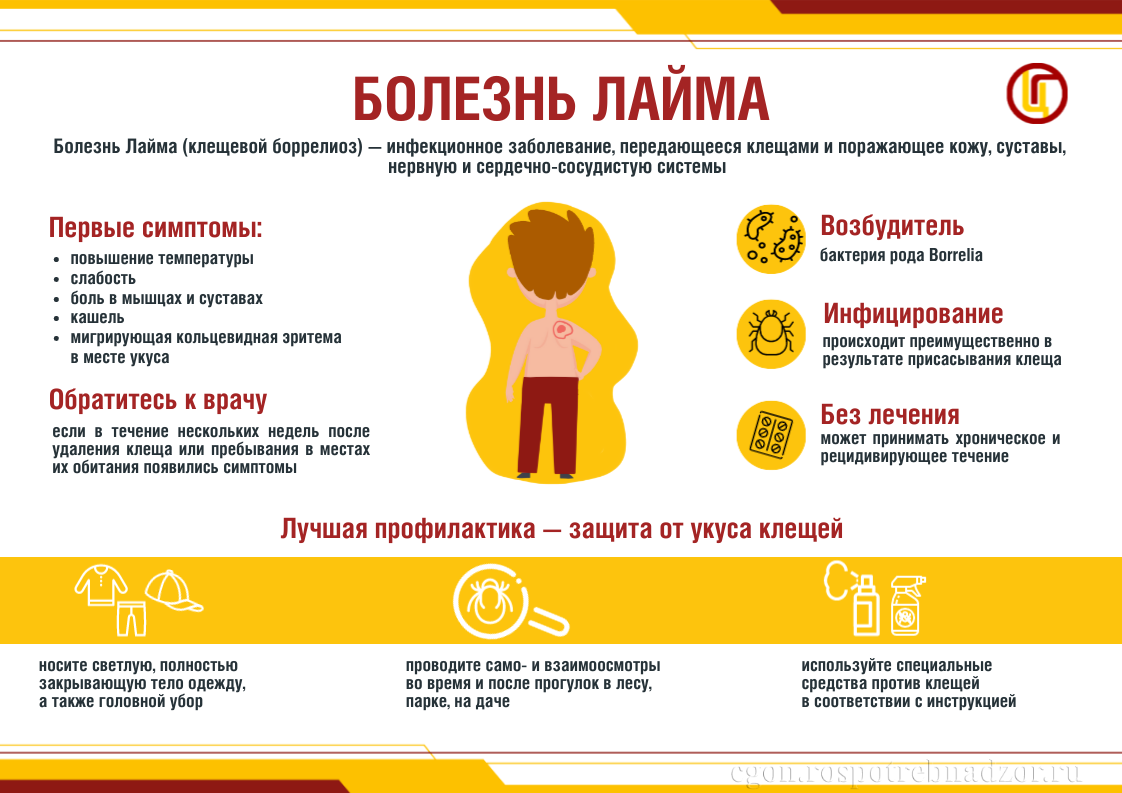 Болезнь Лайма