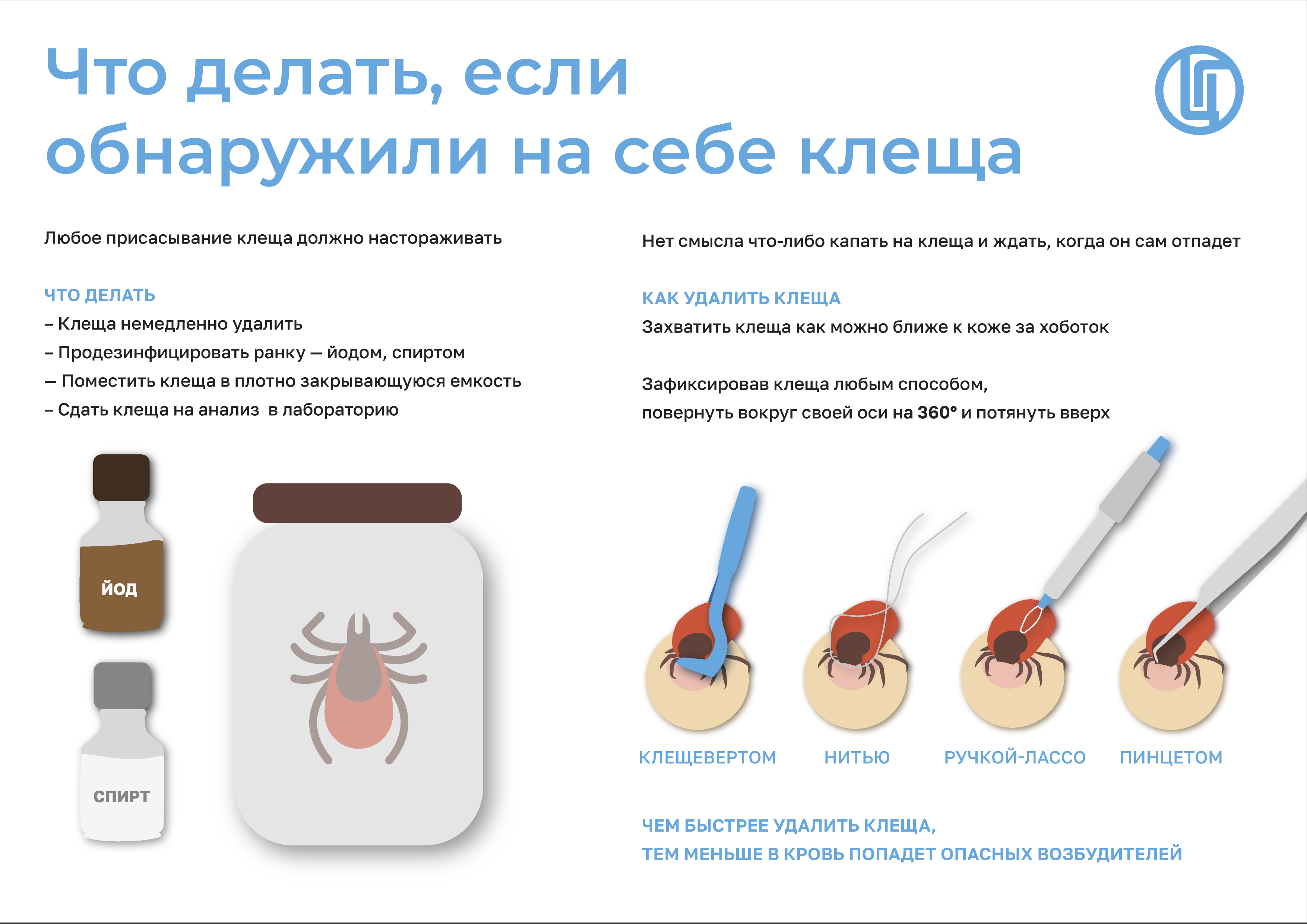 Обнаружен клещ