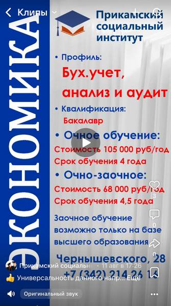 video economika 2025